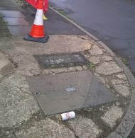 Corner of Syon Park Gardens outside no 69