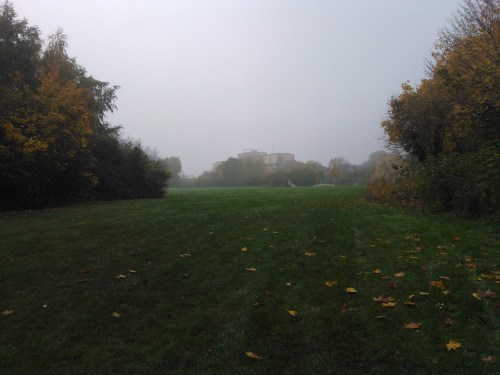 Thornbury Park looking west from near the Rennels Way and Sidmouth Avenue entrance