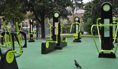 Example of outdoor gym equipment, pigeon optional