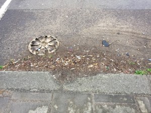 160405 GWRd Wood Lane detritus