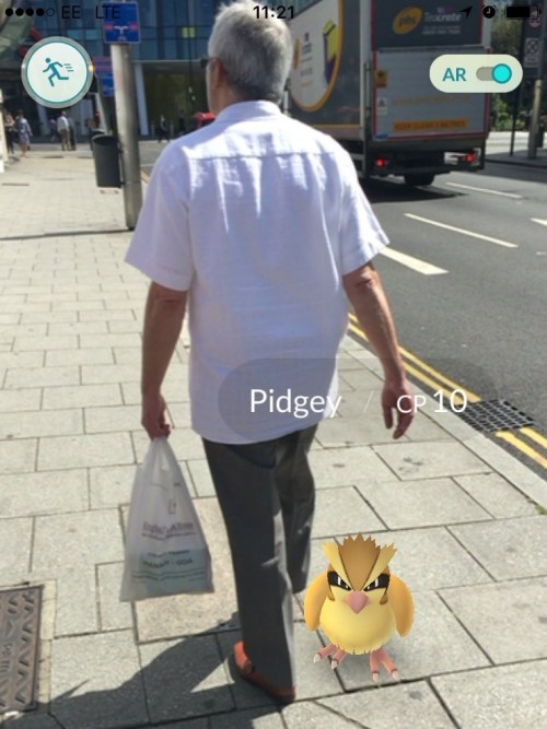 Pokemon Pidgey almost a Size 8 gonner on the way to TfL